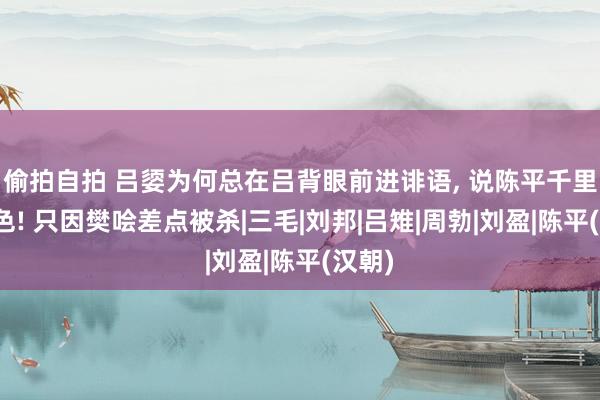 偷拍自拍 吕媭为何总在吕背眼前进诽语， 说陈平千里迷酒色! 只因樊哙差点被杀|三毛|刘邦|吕雉|周勃|刘盈|陈平(汉朝)