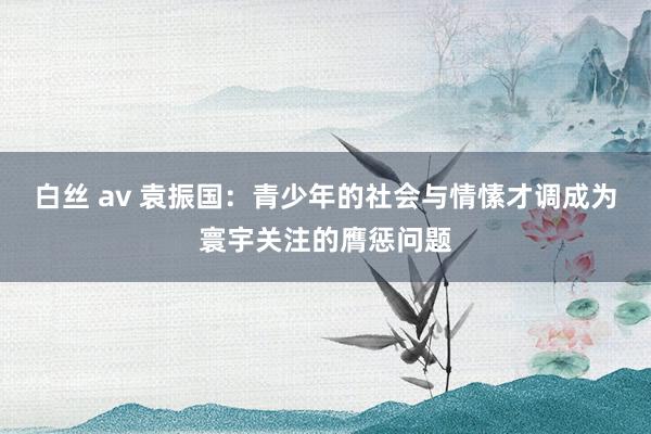 白丝 av 袁振国：青少年的社会与情愫才调成为寰宇关注的膺惩问题