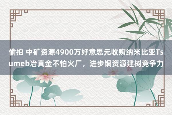 偷拍 中矿资源4900万好意思元收购纳米比亚Tsumeb冶真金不怕火厂，进步铜资源建树竞争力