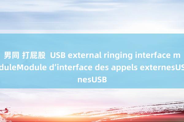 男同 打屁股  USB external ringing interface moduleModule d’interface des appels externesUSB