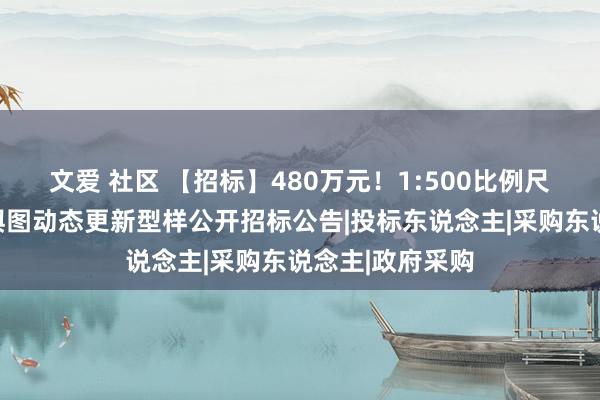 文爱 社区 【招标】480万元！1:500比例尺地形图及电子舆图动态更新型样公开招标公告|投标东说念主|采购东说念主|政府采购