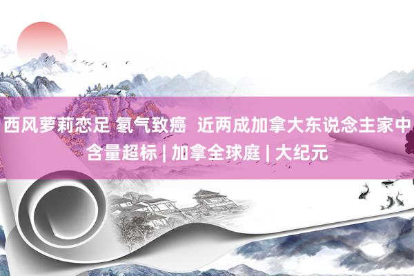 西风萝莉恋足 氡气致癌  近两成加拿大东说念主家中含量超标 | 加拿全球庭 | 大纪元