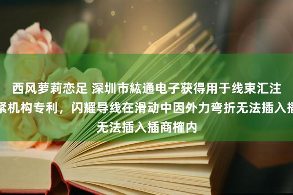 西风萝莉恋足 深圳市紘通电子获得用于线束汇注器的压紧机构专利，闪耀导线在滑动中因外力弯折无法插入插商榷内