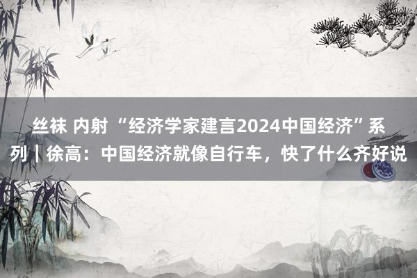 丝袜 内射 “经济学家建言2024中国经济”系列｜徐高：中国经济就像自行车，快了什么齐好说