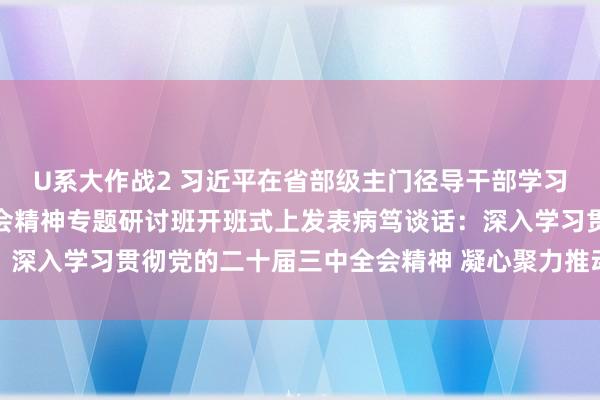 U系大作战2 习近平在省部级主门径导干部学习贯彻党的二十届三中全会精神专题研讨班开班式上发表病笃谈话：深入学习贯彻党的二十届三中全会精神 凝心聚力推动改良行稳致远