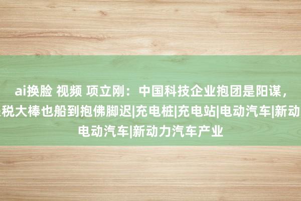 ai换脸 视频 项立刚：中国科技企业抱团是阳谋，泰西祭出关税大棒也船到抱佛脚迟|充电桩|充电站|电动汽车|新动力汽车产业