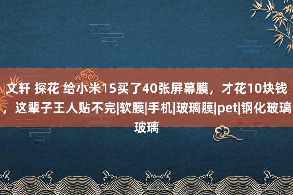 文轩 探花 给小米15买了40张屏幕膜，才花10块钱，这辈子王人贴不完|软膜|手机|玻璃膜|pet|钢化玻璃