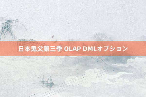 日本鬼父第三季 OLAP DMLオプション