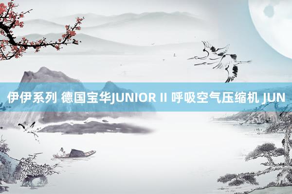 伊伊系列 德国宝华JUNIOR II 呼吸空气压缩机 JUN