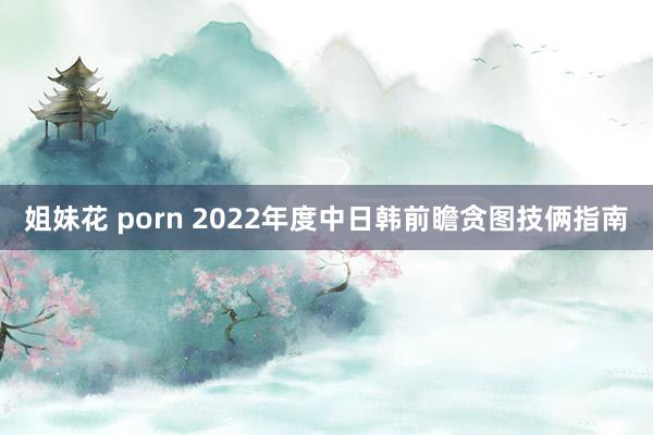 姐妹花 porn 2022年度中日韩前瞻贪图技俩指南